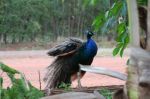 CapeYork0188.jpg