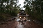 CapeYork0254.jpg