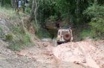 CapeYork0256.jpg