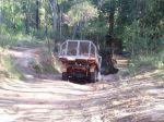 CapeYork0265.jpg