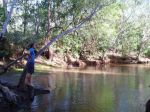 CapeYork0266.jpg