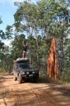 CapeYork0276.jpg