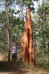CapeYork0278.jpg