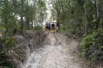 CapeYork0296.jpg