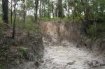 CapeYork0297.jpg