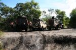 CapeYork0425.jpg