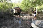 CapeYork0432.jpg
