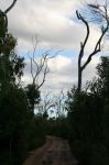 CapeYork0439.jpg