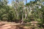 CapeYork0444.jpg