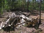 CapeYork0462.jpg