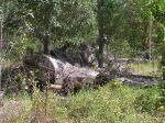CapeYork0471.jpg