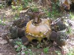 CapeYork0472.jpg