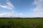 CapeYork0574.jpg