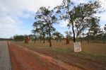 CapeYork0577.jpg