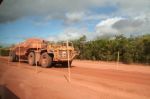 CapeYork0597.jpg