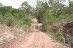 CapeYork0645.jpg
