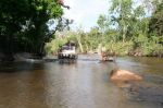 CapeYork0654.jpg