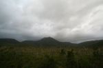 CapeYork0660.jpg
