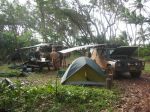 CapeYork0668.jpg