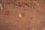 CapeYork0676.jpg