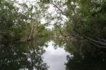 CapeYork0762.jpg