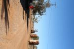 HayRiver_1041.jpg