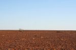 HayRiver_1150.jpg