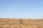 HayRiver_621.jpg