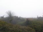 P1010036.JPG