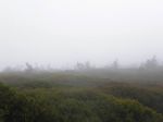 P1010037.JPG