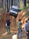 Toolangi040809.jpg
