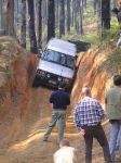 Toolangi040810.jpg