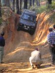 Toolangi040811.jpg