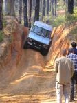 Toolangi040812.jpg
