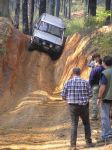 Toolangi040814.jpg