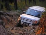 Toolangi040825.jpg