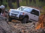 Toolangi040826.jpg