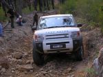 Toolangi040831.jpg