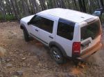 Toolangi040832.jpg