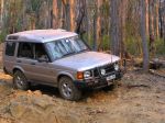 Toolangi040833.jpg