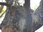 Killingworth1205042.jpg