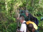Kokoda144.JPG