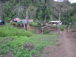 Kokoda158.JPG