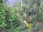 Kokoda185.JPG