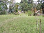 Kokoda203.JPG