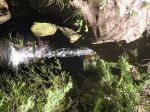 PC070068.JPG
